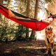 Illustration for article titled Huckberrys Camp Sale: Take 25% Off Hammocks, Coolers, Headlamps, Lanterns More